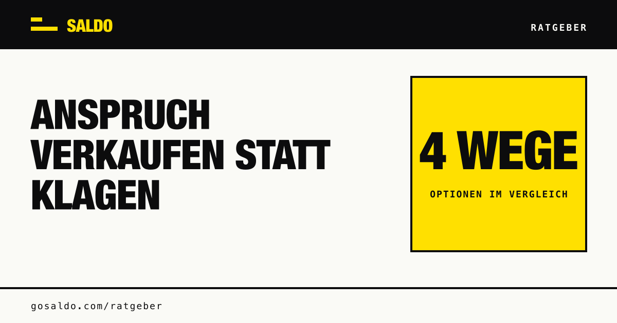 Ratgeber-Cover mit der Überschrift „Anspruch verkaufen statt klagen“ und dem Hinweis auf vier Wege im Vergleich.